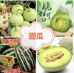 甜瓜合集早生蜜丘比特流星瓜羊角蜜甜宝绿宝银娘冰美人冰糖子夏朗