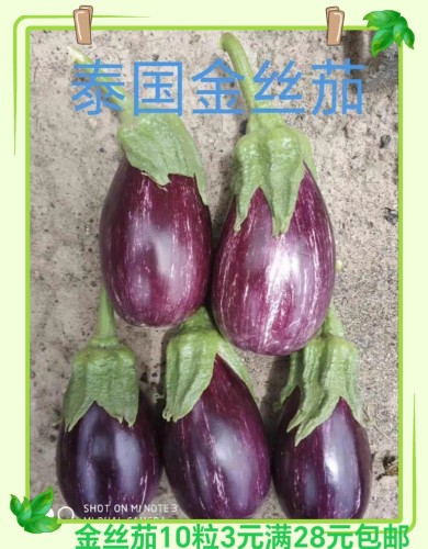 泰国金丝茄  10粒3元（28元包邮）