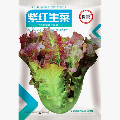 揭阳农研紫红生菜种子1000粒3.9元原包邹叶鲜嫩型红生菜籽甜脆