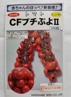 F1 日本渡边红冰淇淋番茄种子3粒24元皮薄高亮满28元包邮