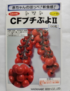 包邮 皮薄高亮满28元 日本渡边红冰淇淋番茄种子3粒24元