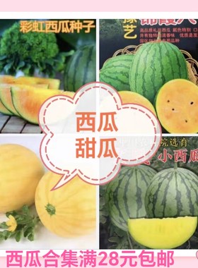要催芽西瓜甜瓜菇娘种合集爱娘崩瓜彩虹红珍珠金色羅皇32025小兰
