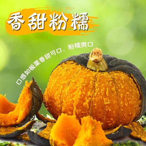 揭阳农研杂交甜栗二号南瓜种子10粒原。包板栗味粉糯香甜28元包邮