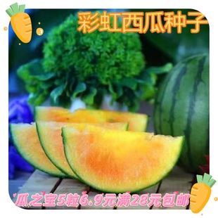 豫艺彩虹瓜之宝西瓜种子5粒6.9元 橙黄瓤冰淇淋口感甜度高 原包分装