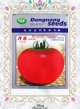 东北农业大学杂交番茄种子F1月光10粒6元东农708口感番茄28元包邮