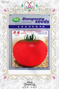 东北农业大学杂交番茄种子F1月光10粒6元东农708口感番茄28元包邮