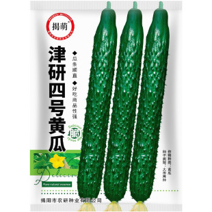 包邮 全场28元 原包约50粒5元 津研四号黄瓜