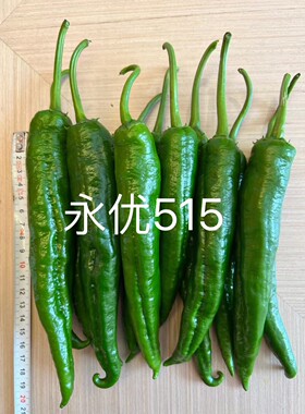 F1永优515辣椒种子10粒3元麻点尖椒微辣皮薄满28元包邮