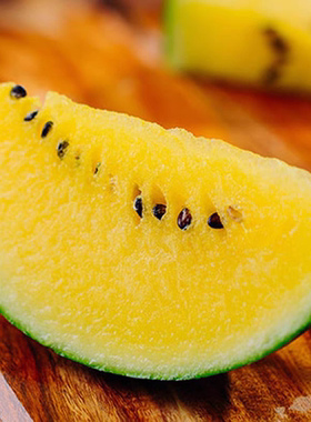 F1台湾农友小兰西瓜种子5粒4.9元黄瓤礼品小西瓜籽满28元包邮