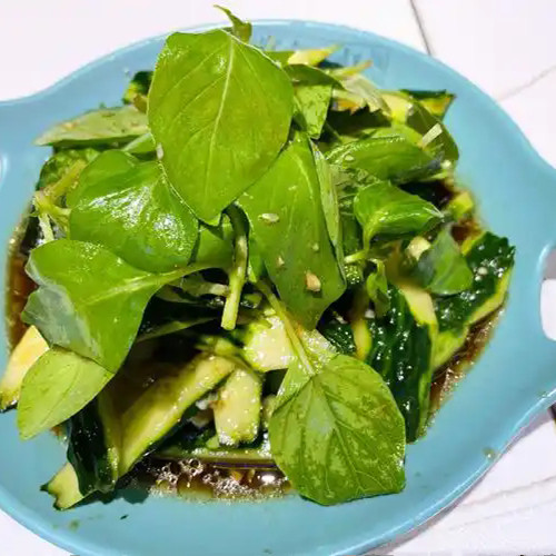 传家宝河南大叶荆芥(罗勒)种子20粒2元