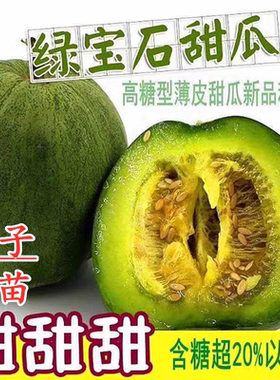 冰美人绿宝甜瓜籽10粒2.8元绿宝石甜瓜绿皮绿肉薄皮满28元包邮
