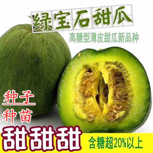 冰美人绿宝甜瓜籽10粒2.8元绿宝石甜瓜绿皮绿肉薄皮满28元包邮