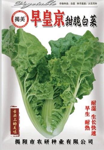 揭阳农研早皇京甜脆白菜种籽 半结球型白菜  原厂包装  20克5元