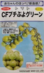包邮 日本渡边绿冰淇淋番茄种子3粒24元 皮薄高亮满28元