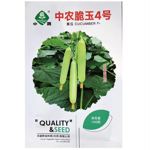 中农脆玉4号黄瓜种子5粒8元春秋淡白绿色水果小黄瓜种子28元包邮