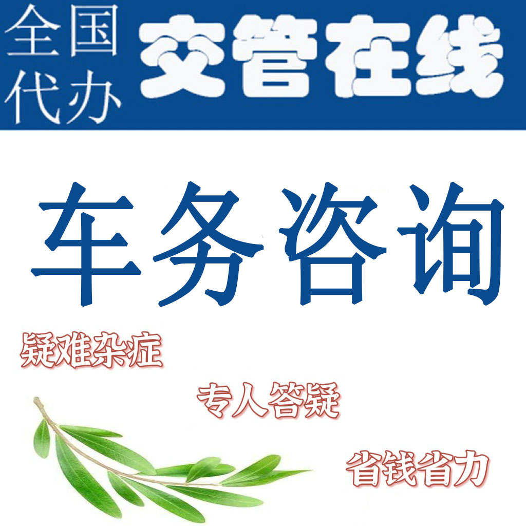 车务服务汽车疑难咨询解押过户