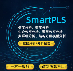 smartpls数据分析 代做 指导 教学PLS问卷数据处理信效度调整服务