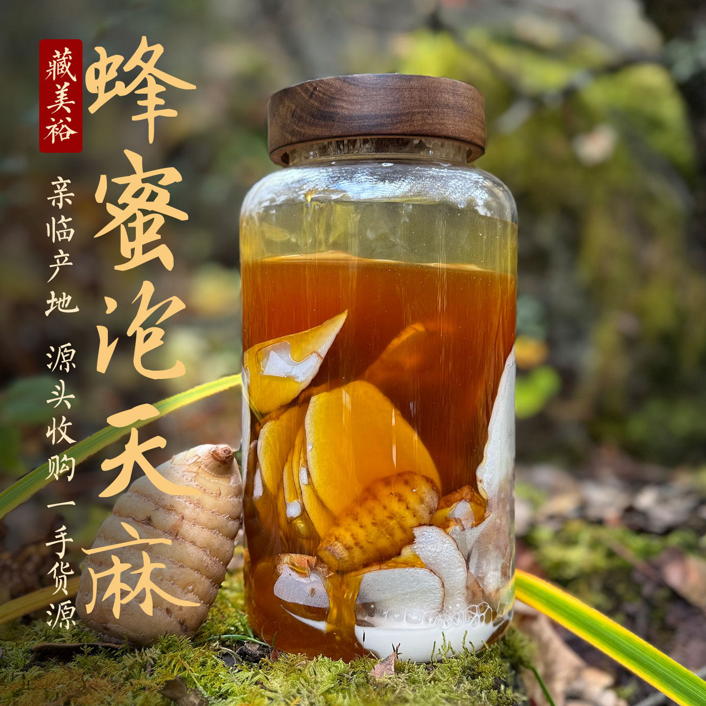 藏美裕 西藏林芝波密纯密蜂蜜泡波密冬天麻 正宗树洞蜜悬崖蜜泡麻