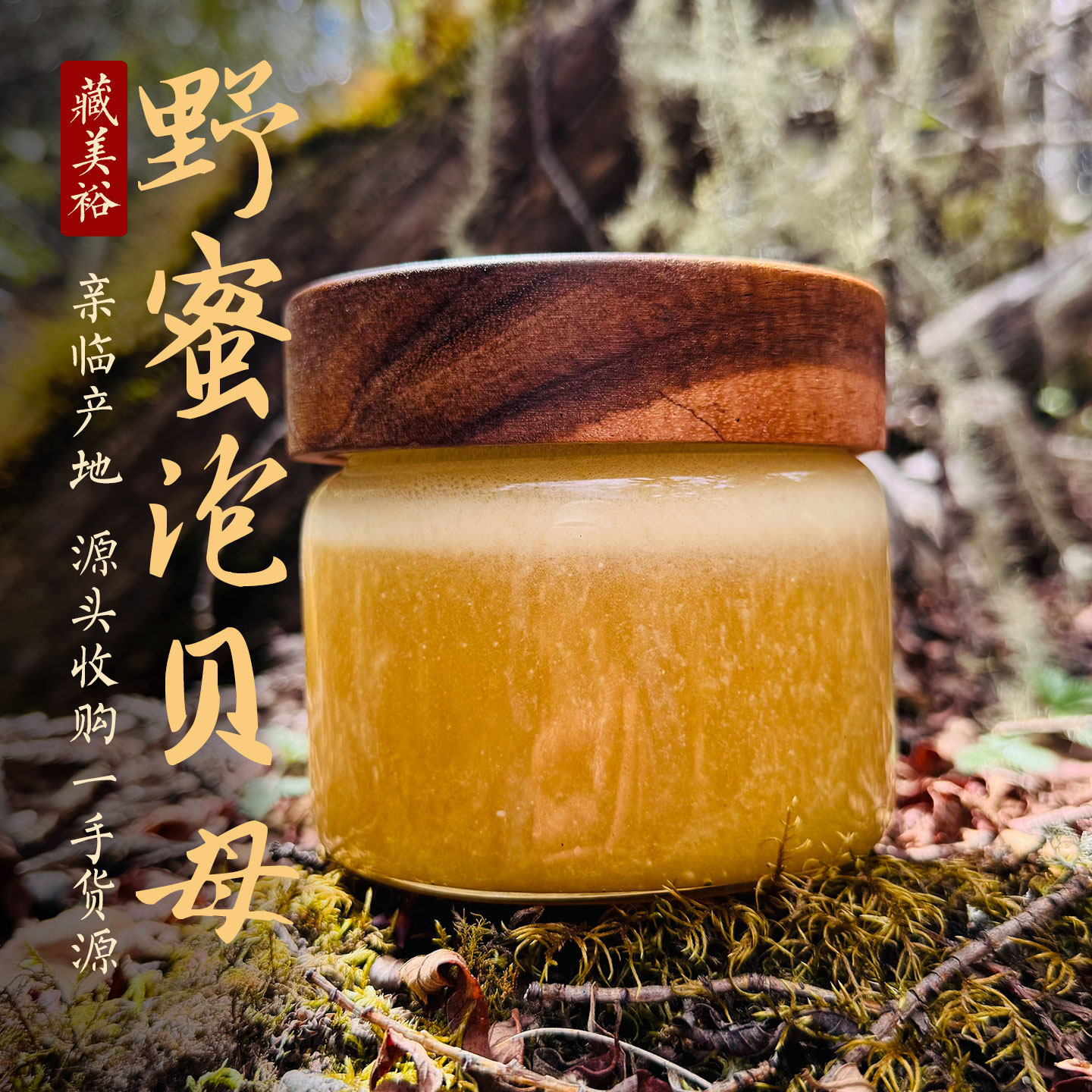 藏美裕 西藏林芝波密野生蜂蜜泡野生藏贝母 树洞蜜悬崖蜜泡藏贝母
