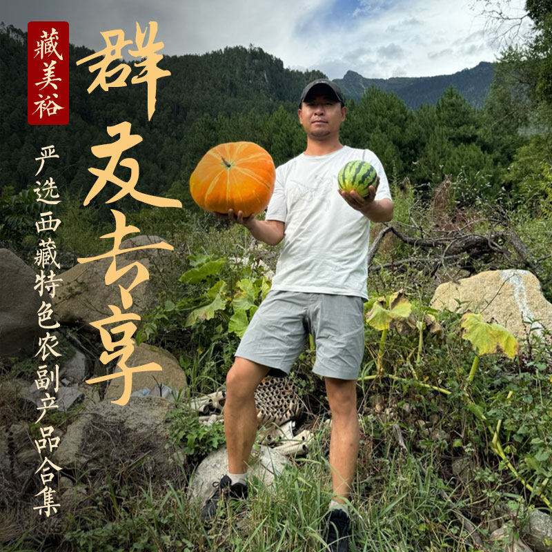 严选西藏特色农副产品群友专享