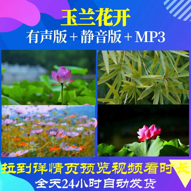 L66008Z玉兰花开民族风竹林花草唯美风景素材背景视频儿童节中小