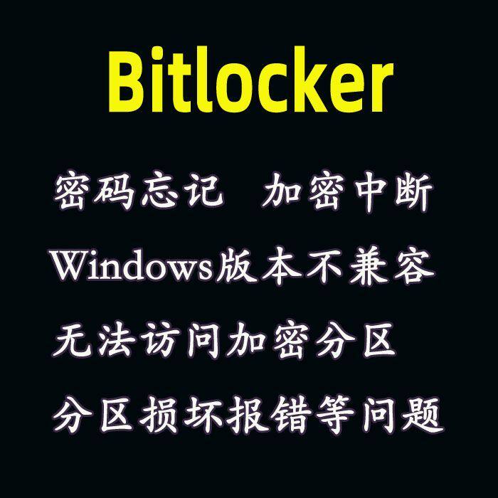 电脑磁盘BitLocker密码加密中断暂停文件资料蓝屏恢复密钥文件