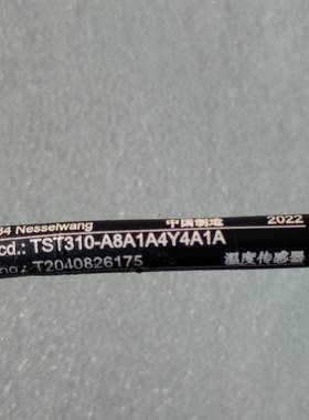 Nesselwang温度传感器，型号TST310-A8A1A
