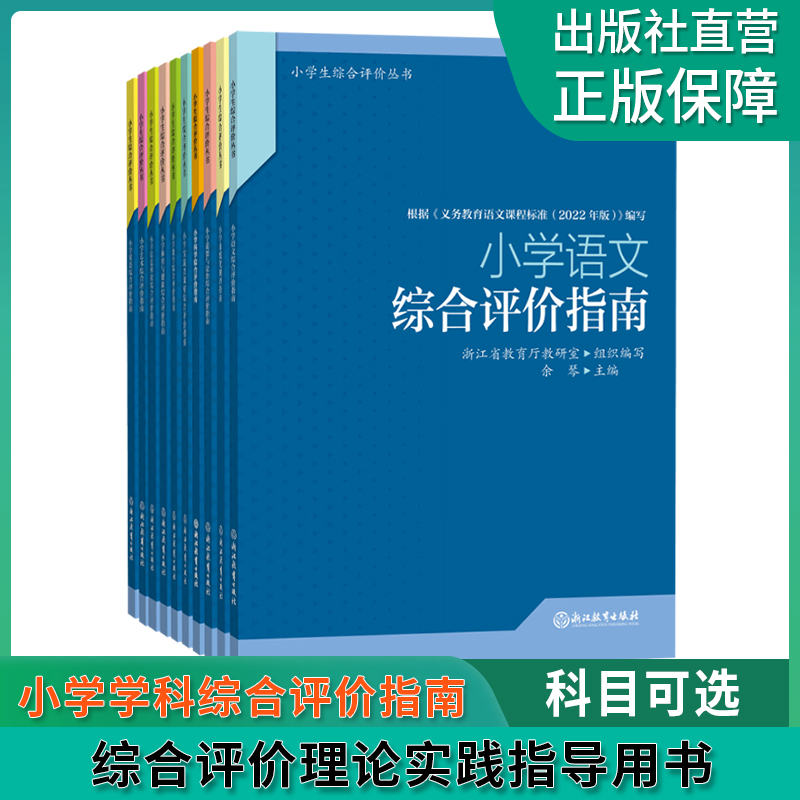 【单本可选】小学学科综合评价指南语数英科小学生综合评价丛书小学教师教育工作者指导用书综合素质评价理论实践研究指导用书-封面