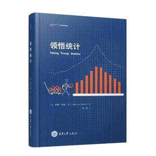 RT69包邮 领悟统计重庆大学出版社社会科学图书书籍