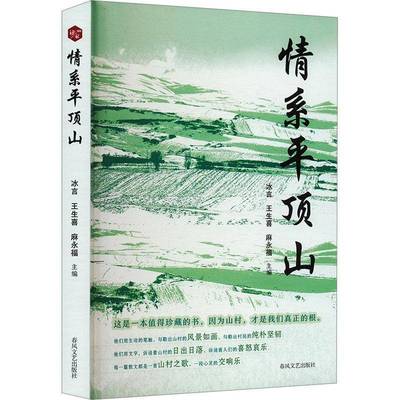 RT69包邮 情系顶山春风文艺出版社图书图书书籍