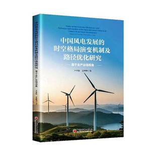 RT69包邮 中国风电发展的时空格局演变机制及路径优化研究:基于全产业链视角:perspective from the w中国经济出版社经济图书书籍