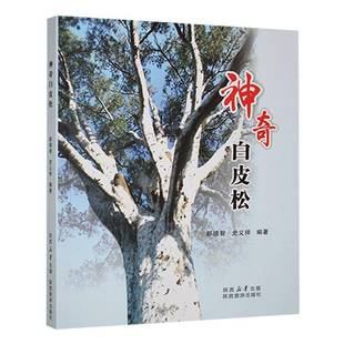 RT69包邮 神奇白皮松陕西旅游出版社农业、林业图书书籍