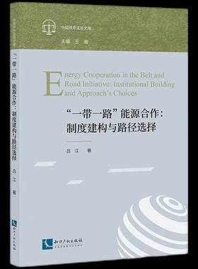 RT69包邮 “”能源合作:制度建构与路径选择:institutional building and approach's choices知识产权出版社经济图书书籍