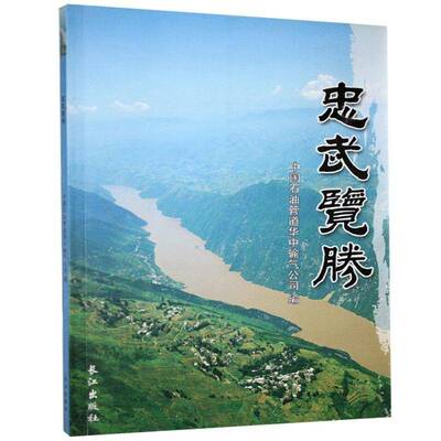 RT69包邮 忠武览胜长江出版社工业技术图书书籍