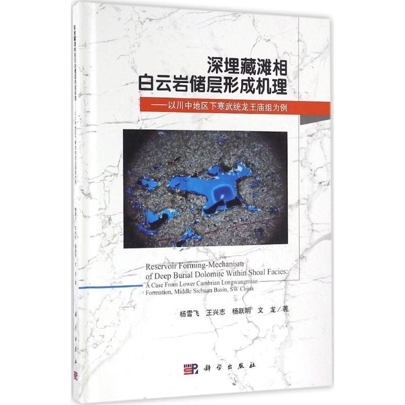 RT69包邮深埋藏滩相白云岩储层形成机理:以川中地区下寒武统龙王庙组为例科学出版社自然科学图书书籍