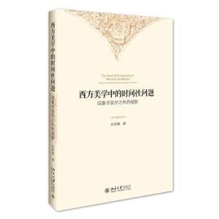 社哲学宗教图书书籍 西方美学中 phenomenologica北京大学出版 beyond perspective 视野 现象学美学之外 时间性问题 包邮 RT69