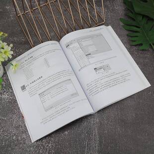 RT69包邮 FPGA开发及应用:基于紫光同创Logos系列器件及Verilog HDL:微课版清华大学出版社计算机与网络图书书籍