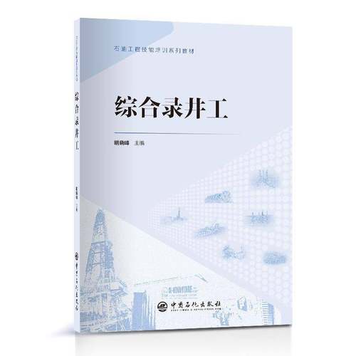 RT69包邮 综合录井工中国石化出版社工业技术图书书籍