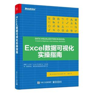 社计算机与网络图书书籍 Excel数据可视化实操指南电子工业出版 RT69 包邮