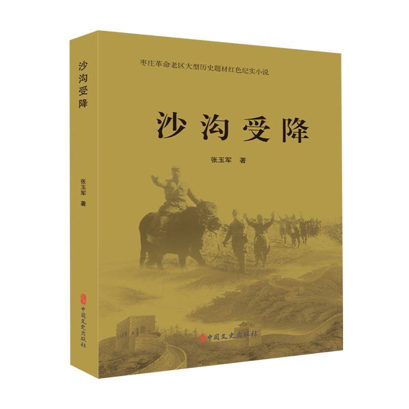 RT69包邮 沙沟受降中国文史出版社小说图书书籍