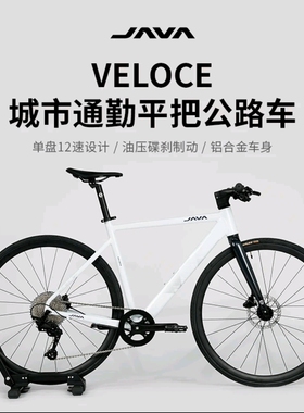 JAVA佳沃平把维洛克VELOCE12速油压碟刹桶轴耐力型平把公路车
