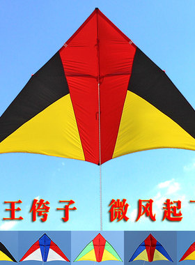 王侉子风筝大型三角544伞布软碳杆成人微风易飞大人专用高档潍坊