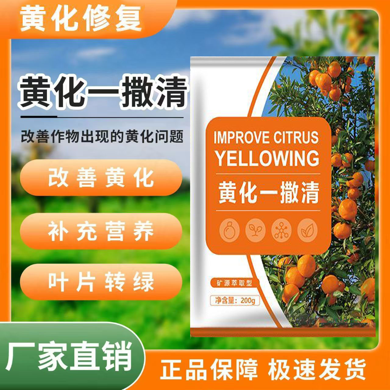 黄化一撒清改善叶片黄化转绿补充营养强健树势微生物颗粒肥
