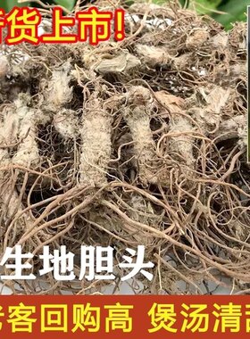 广东地胆头干品白花煲汤料新鲜