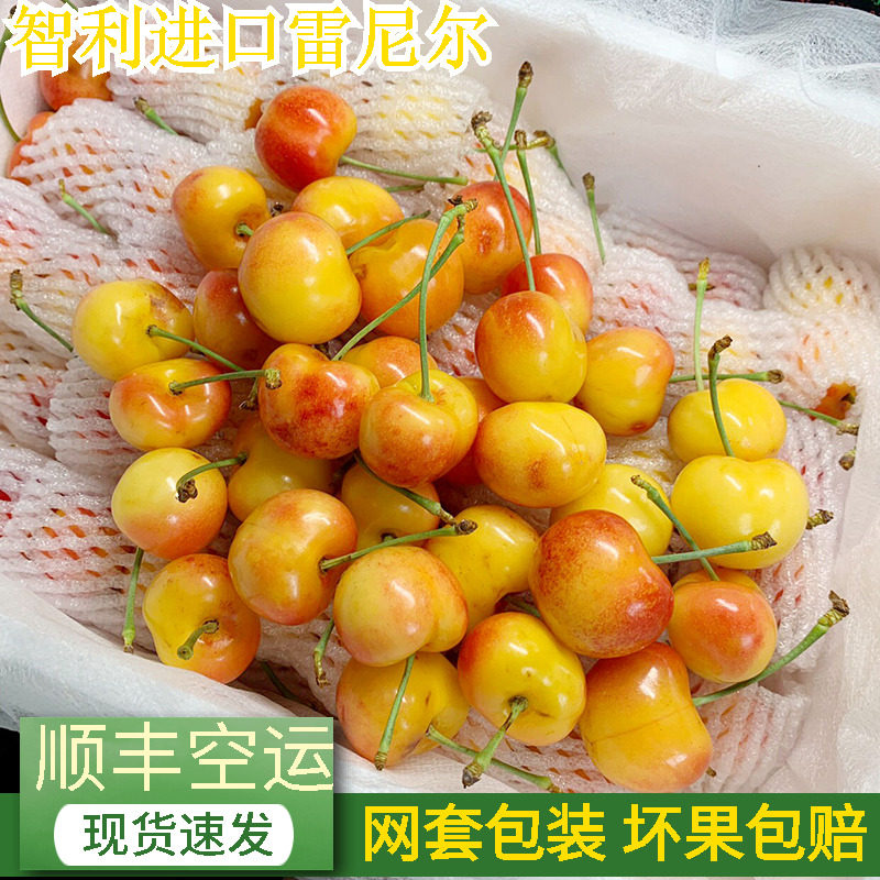雷尼尔黄金车厘子智利进口樱桃网套包装孕妇宝宝新鲜水果顺丰包邮,水产肉类/新鲜蔬果/熟食,车厘子/樱桃,淘宝优惠券,粉丝福利购,淘宝优惠卷