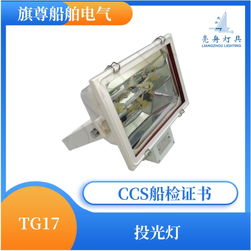 船用TG17不锈钢投光灯
