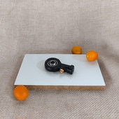 地毯抽洗机配件钢球轴承地毯清洗机耙头电机 16分体式 原装 威霸VB