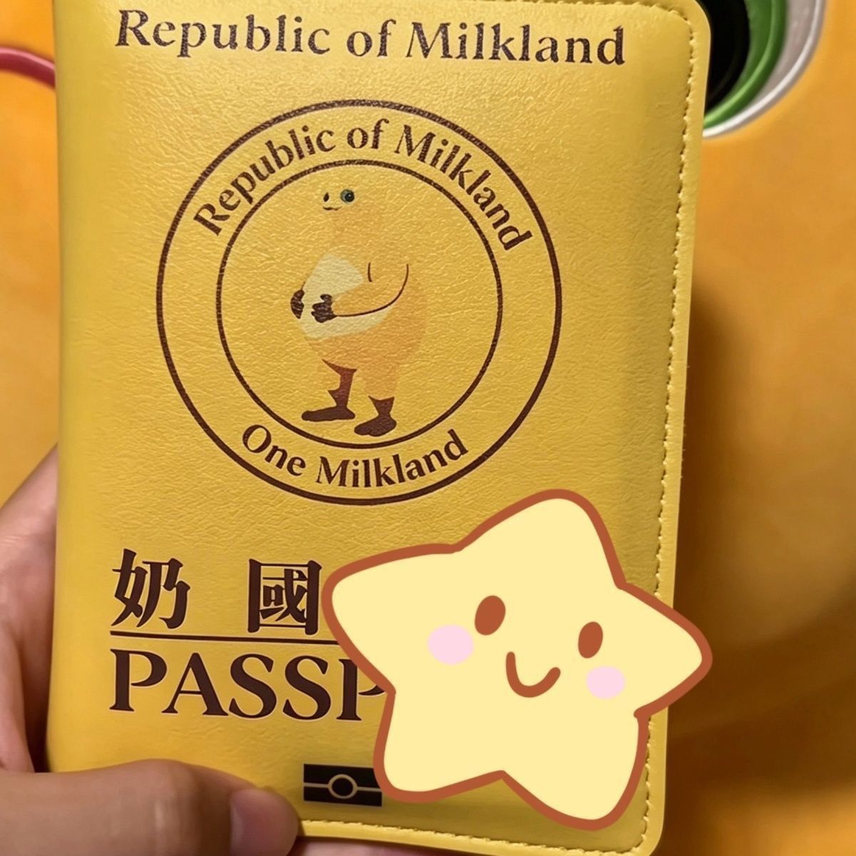 机票登机牌证件收纳包