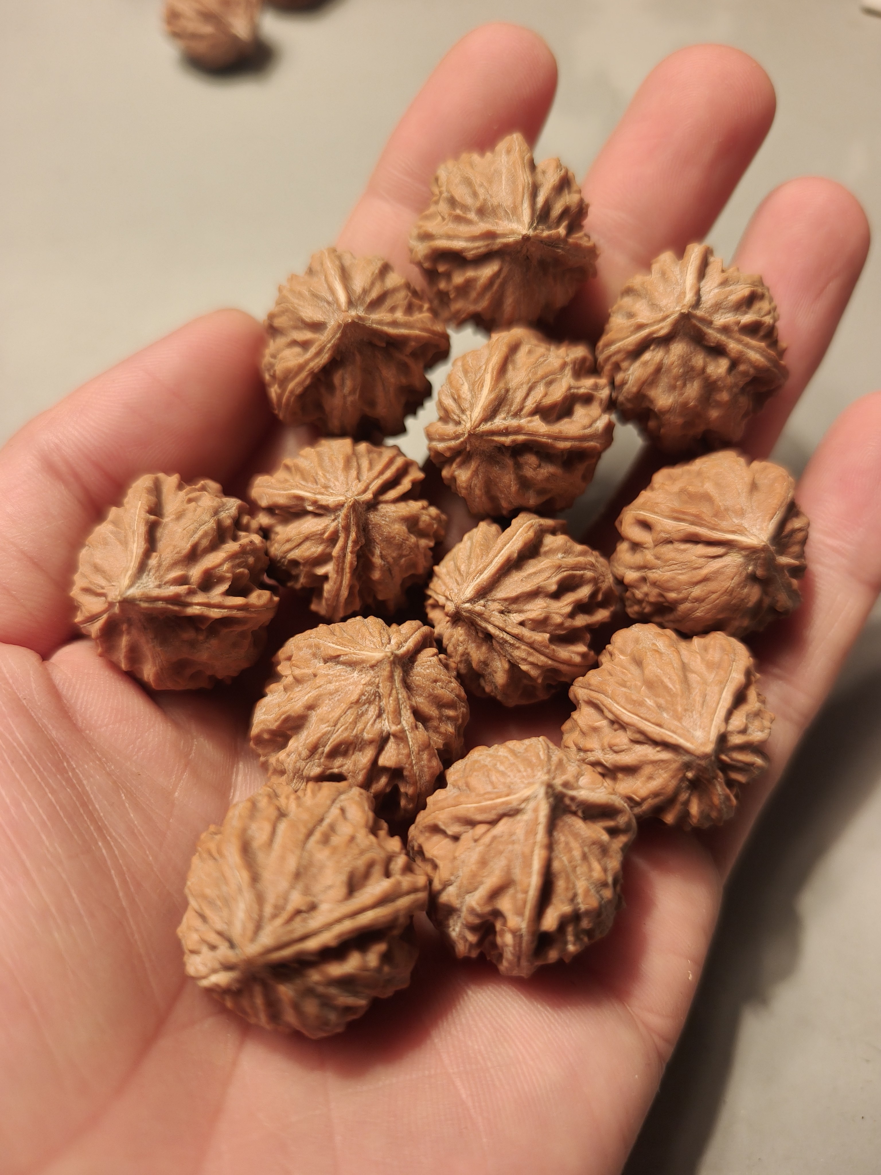 野生天然三四棱异形精品奔驰文玩小核桃秋子手串正奔手把件小狮子