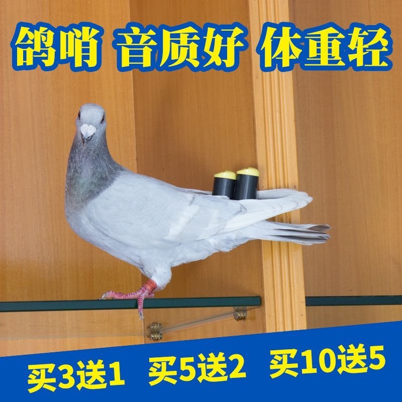 两音鸽尾哨赛鸽观赏鸽信鸽鸽子用品用具鸽子哨超响鸽尾哨
